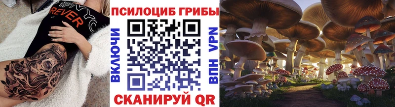 дарк нет телеграм  Саянск  Псилоцибиновые грибы Psilocybine cubensis  где продают  